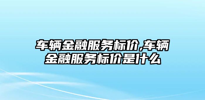 車輛金融服務(wù)標(biāo)價,車輛金融服務(wù)標(biāo)價是什么