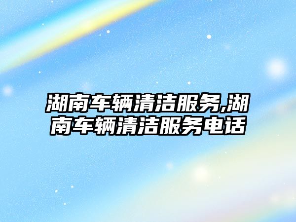 湖南車輛清潔服務,湖南車輛清潔服務電話