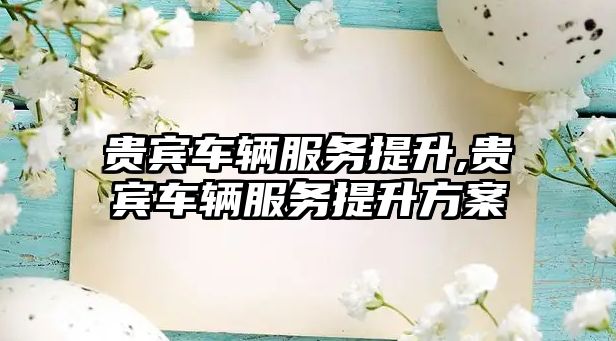 貴賓車輛服務(wù)提升,貴賓車輛服務(wù)提升方案