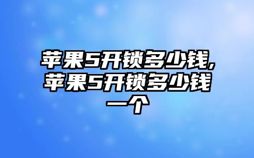 蘋果5開鎖多少錢,蘋果5開鎖多少錢一個