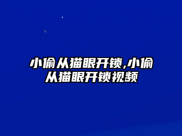 小偷從貓眼開鎖,小偷從貓眼開鎖視頻