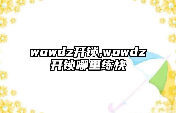 wowdz開鎖,wowdz開鎖哪里練快