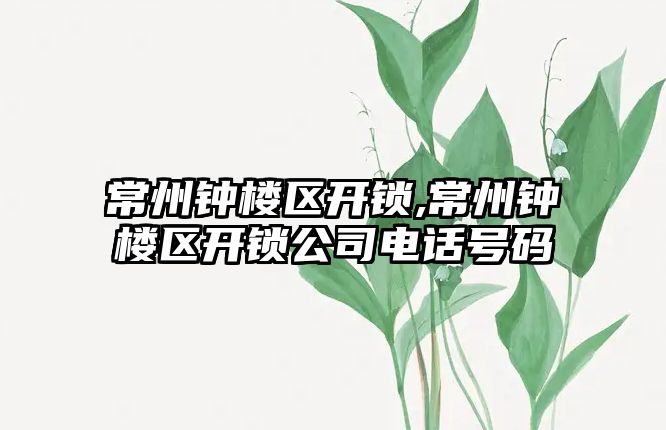 常州鐘樓區(qū)開鎖,常州鐘樓區(qū)開鎖公司電話號碼