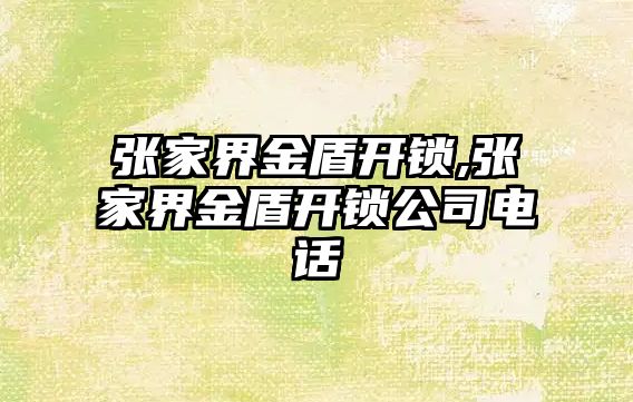 張家界金盾開鎖,張家界金盾開鎖公司電話