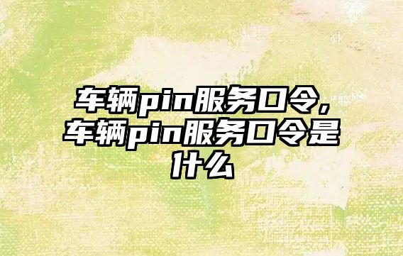 車輛pin服務口令,車輛pin服務口令是什么