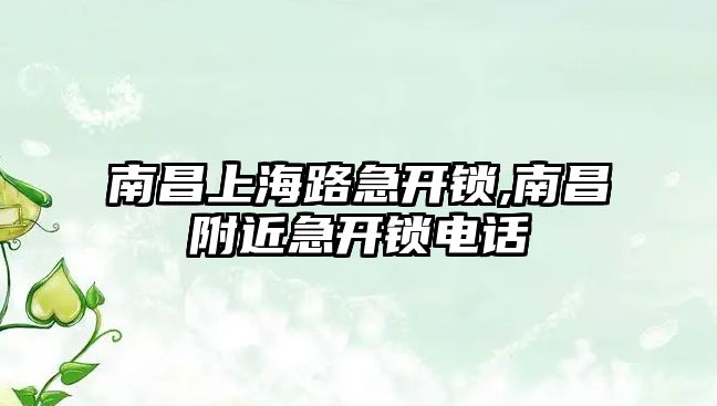 南昌上海路急開鎖,南昌附近急開鎖電話