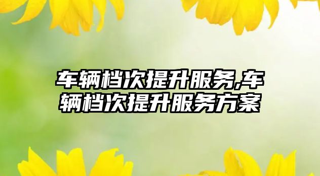 車輛檔次提升服務,車輛檔次提升服務方案