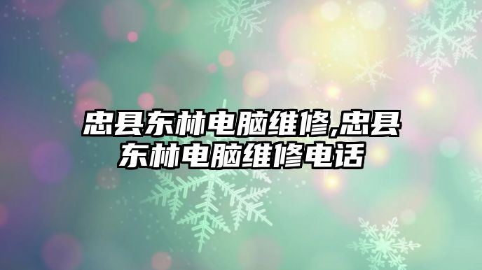 忠縣東林電腦維修,忠縣東林電腦維修電話