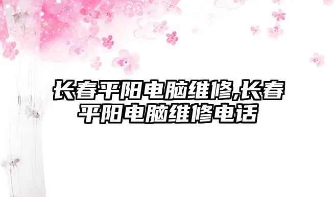 長春平陽電腦維修,長春平陽電腦維修電話