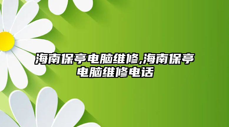 海南保亭電腦維修,海南保亭電腦維修電話