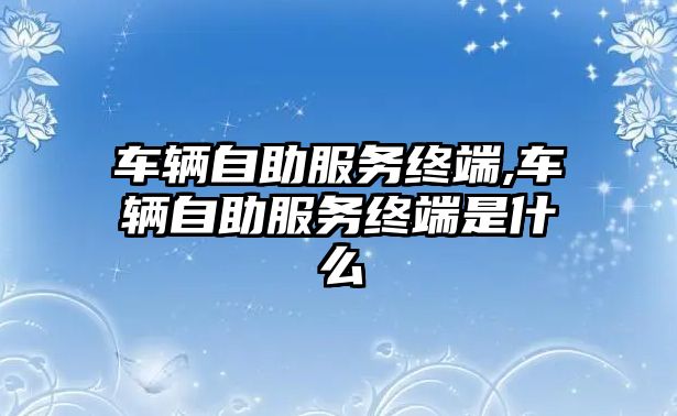 車輛自助服務終端,車輛自助服務終端是什么